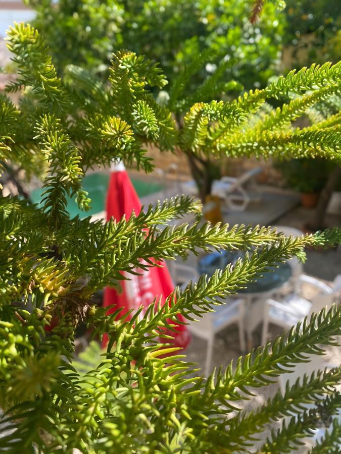 אנטליה Kaleici Hotel מראה חיצוני תמונה