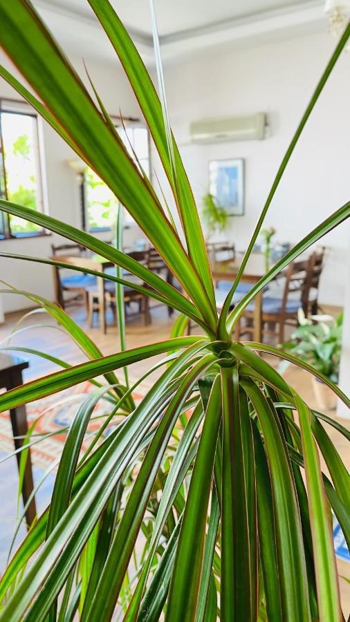 אנטליה Kaleici Hotel מראה חיצוני תמונה