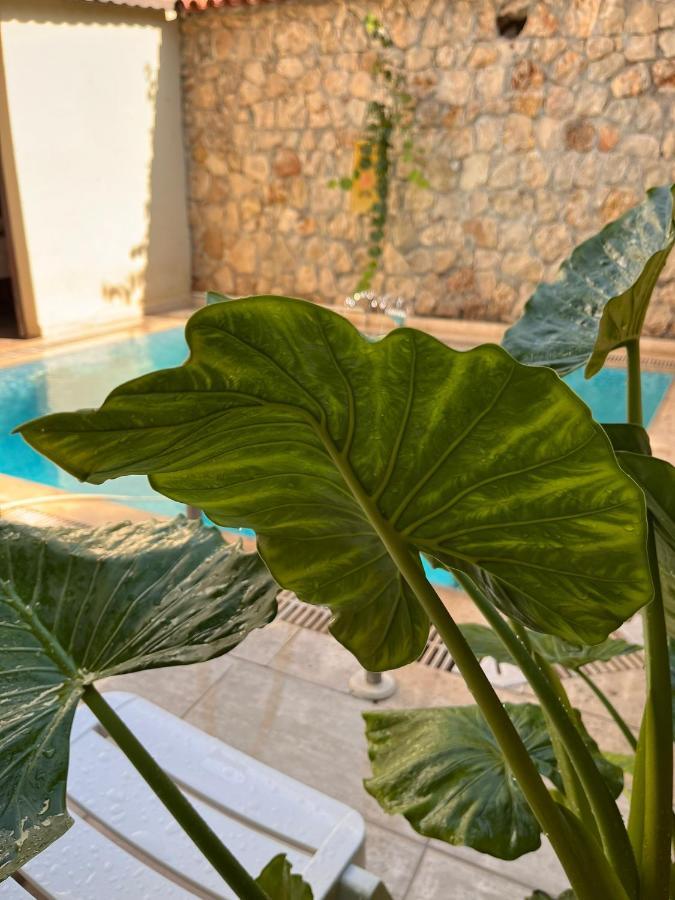 אנטליה Kaleici Hotel מראה חיצוני תמונה